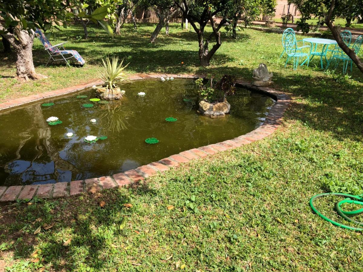 La Casita Del Cactus - Casa De Campo Con Piscina Alcala de Guadaira Exterior photo